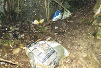 M&uuml;llbiotop Konradsfels